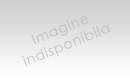 SALAJ Anvelope industriale  - pentru combine - combina 1600/20 ; 500/12 ; combina 400/155